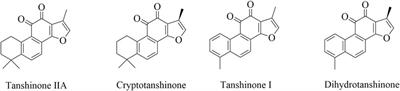 The mechanisms of tanshinone in the treatment of tumors